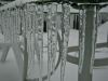 Icicles from Patio Table