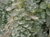 Ice on plant