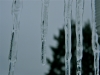 Icicles on Pool house